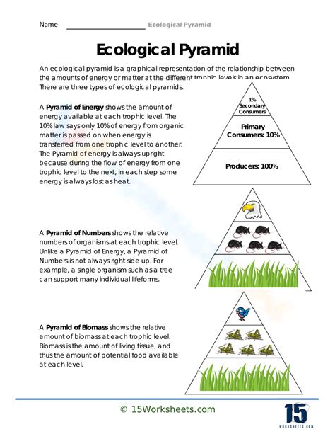 Image result for Pyramid Worksheet Answer Key