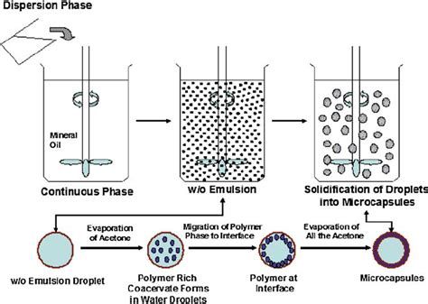 Image result for Microencapsulation Process
