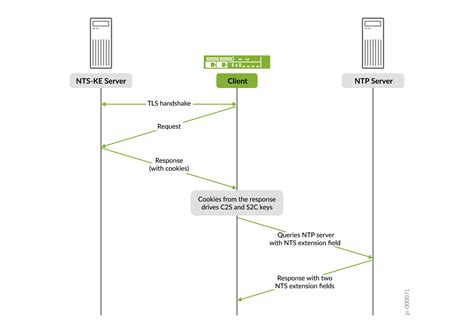 Image result for NTP Network