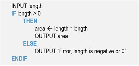 Image result for Selection Computer Programming