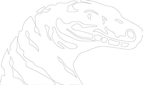 Image result for Python White Outline Transparent