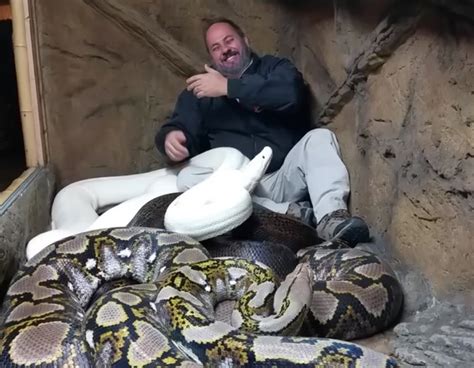 Image result for Python Attack Movie