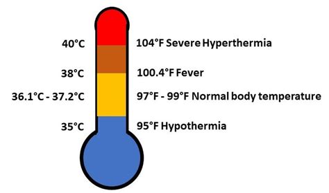 Image result for Normal Human Body Temperature