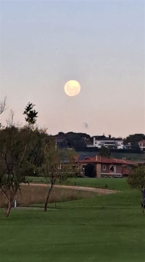 Image result for Integral Process