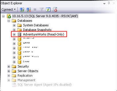 Read-Only View in SQL Code に対する画像結果