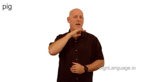 Afbeeldingsresultaten voor ASL Pig