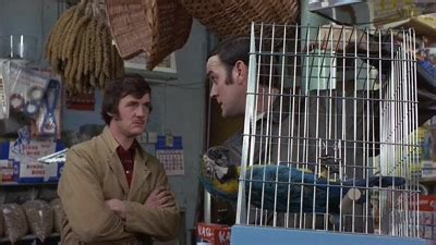 Afbeeldingsresultaten voor Monty Python Wait for It