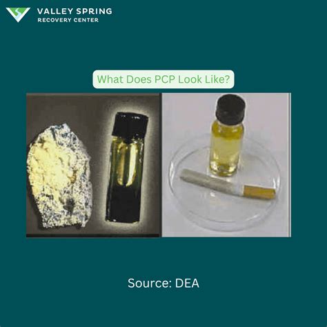 Afbeeldingsresultaten voor PCP Drug Name