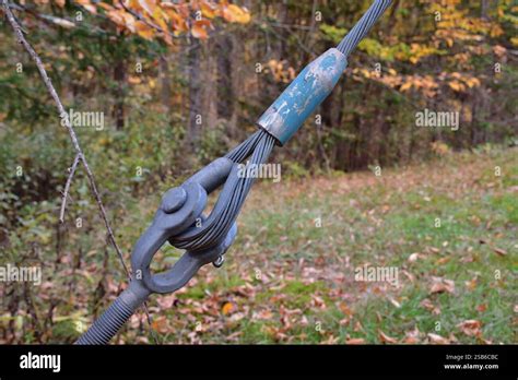 Toradh íomhá ar Multi Strand Wire Rope End Loop M20