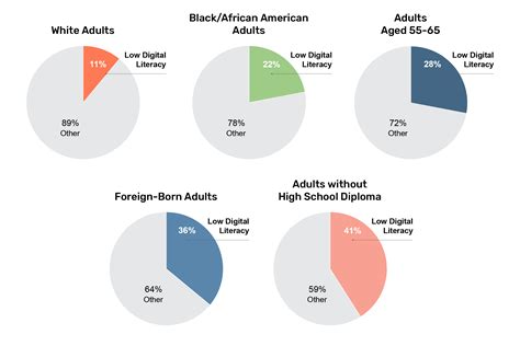 Image result for Digital Literacy Graph