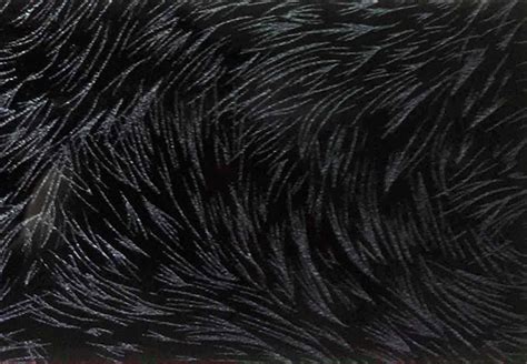 Image result for Color Wheel High Resolution