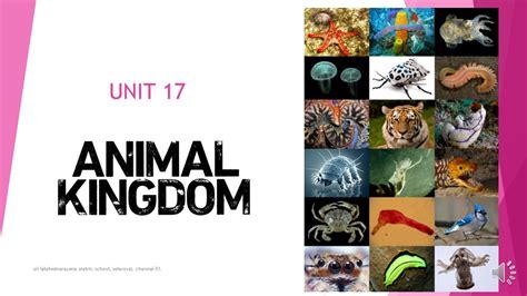 Image result for 9th Science Animal Kingdom Answer In Guide