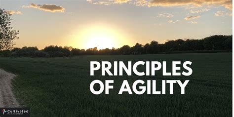 Image result for Agility Principles