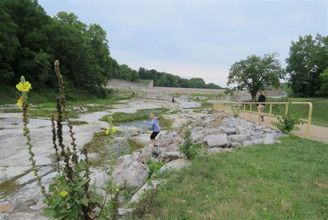 Image result for Fossil and Gem Hunting in Iowa