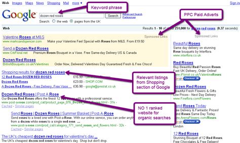 Image result for Example of SEO