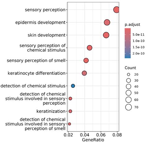 Dot Plot Genes Python に対する画像結果