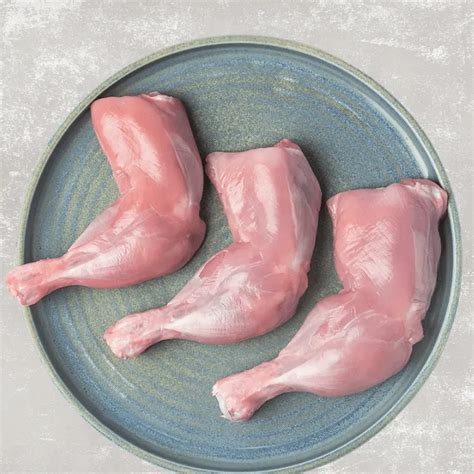 Afbeeldingsresultaten voor Chicken Tag Game in the Pool