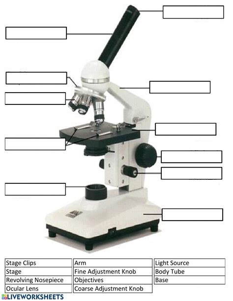 Image result for Parts and Function of Microscope Worksheet