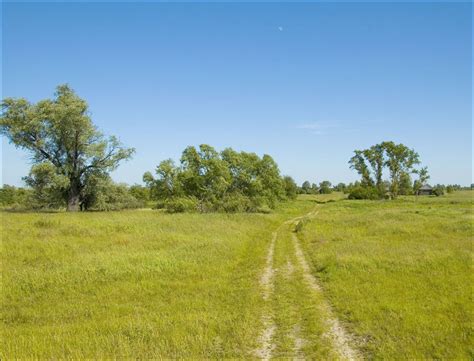 Toradh íomhá ar Penza Oblast Tarkhan