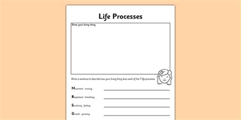 Image result for 7 Life Processes Worksheet