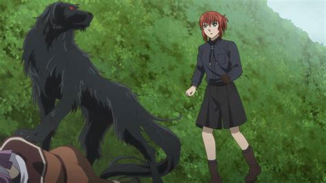 Image result for Ruth Ancient Magus Bride