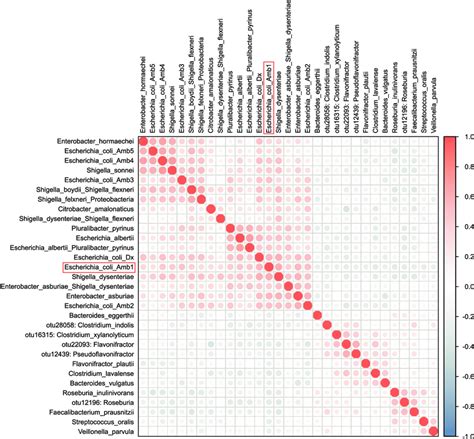 Toradh íomhá ar Correlation Map Python