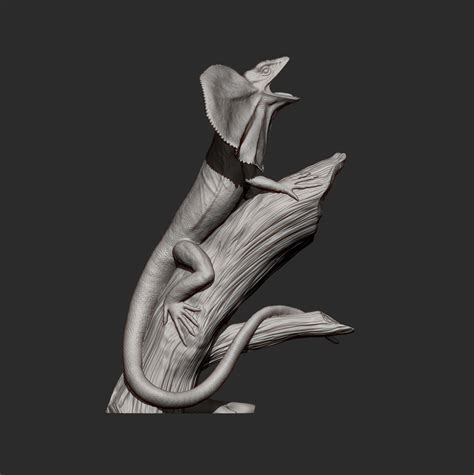 Toradh íomhá ar CL Lizard Model Valentina