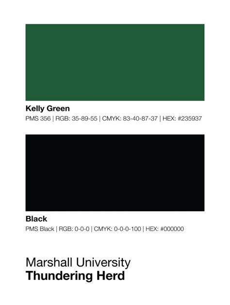 Color Coding of Marshal に対する画像結果