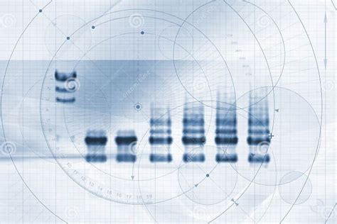Image result for Biotech Process Map