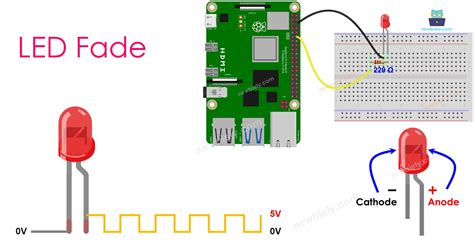 Image result for LED Anode Raspberry Pi