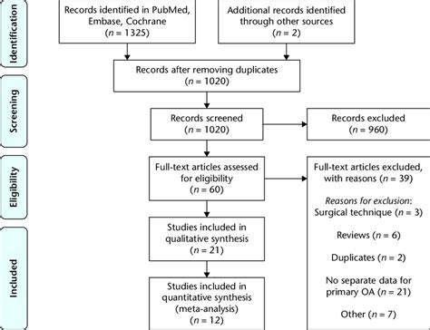 Branch of Selection Flowchart に対する画像結果