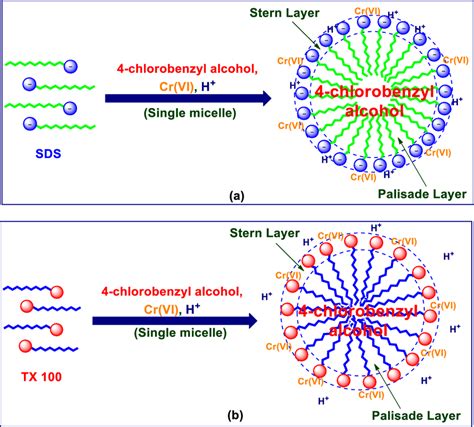 Solubilization に対する画像結果