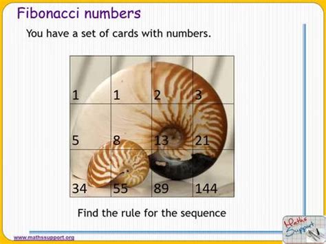 Image result for Fibonacci Triangle Pattern