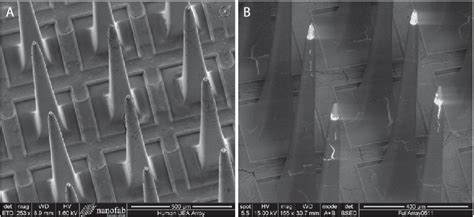 Afbeeldingsresultaten voor Utah Array