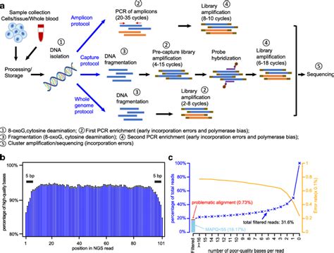 Image result for Capture Sequencing Workflow