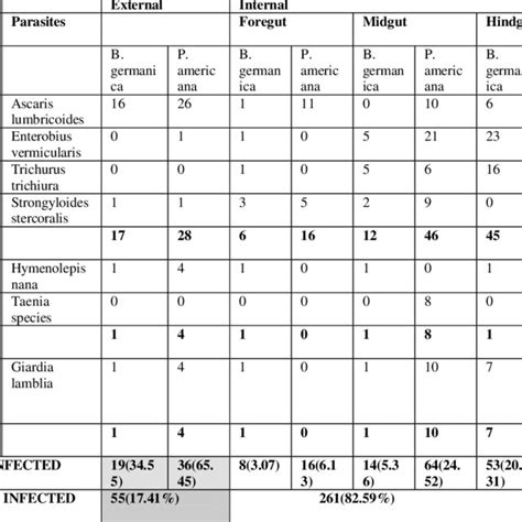 Image result for Size Parasites