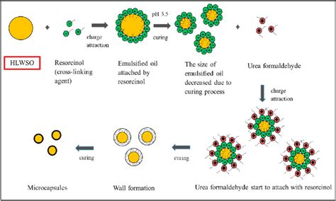 Image result for Microencapsulation Process