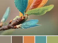 Image result for Looping Color Design