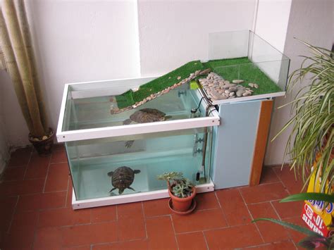 Toradh íomhá ar Large Turtle Tank Setup