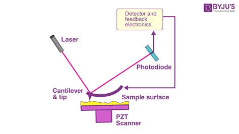 Image result for Scanning Probe Microscope Diagram
