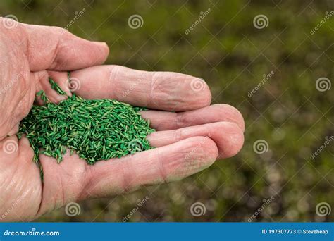 Toradh íomhá ar Lawn Repairing