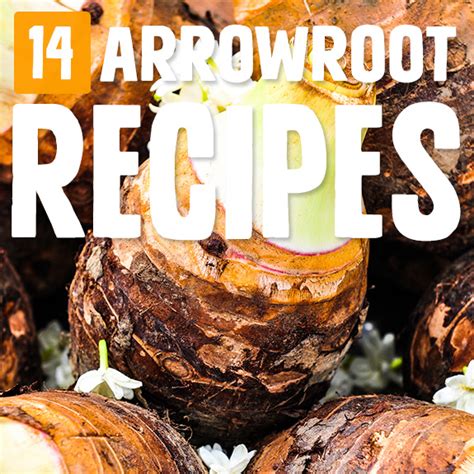 Image result for Arrowroot Powder Recipes