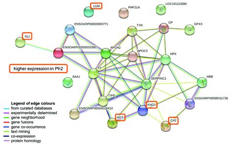 Image result for Who Discrovered String Database