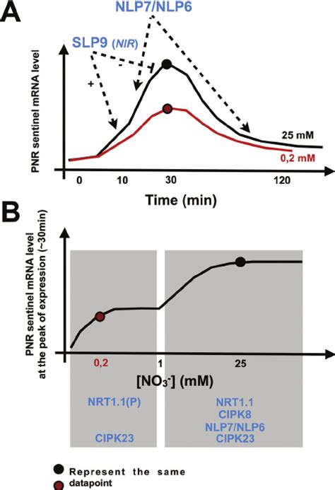 PNR Active Route に対する画像結果