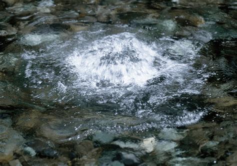 Image result for Spring Water System