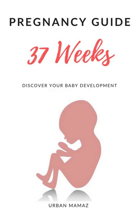 Image result for 37 Week Pregnancy Chart