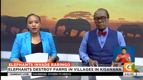 Image result for Citizen TV Live Now at Senate Today