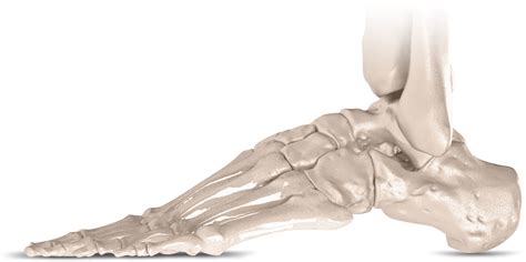 Image result for Foot Locker Locgo