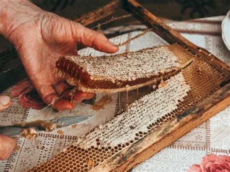 Image result for Visual Studio TDD Setup