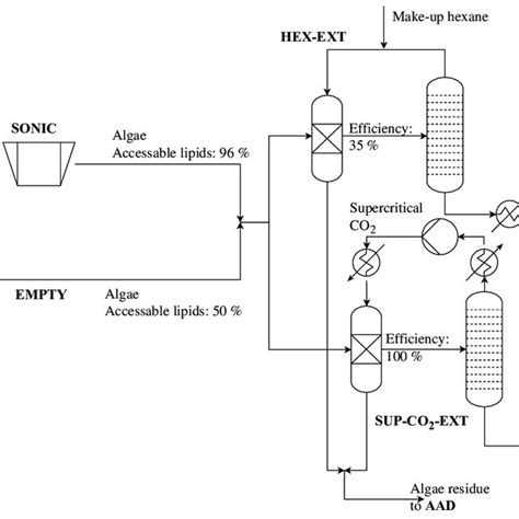 Refinement Algae に対する画像結果
